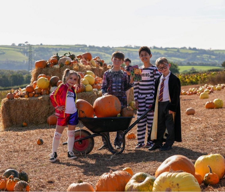 Pumpkin Picking at The Cornish Fun Farm