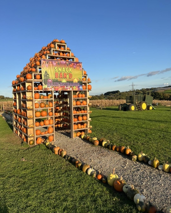 Pumpkin Display at The Cornish Fun Farm