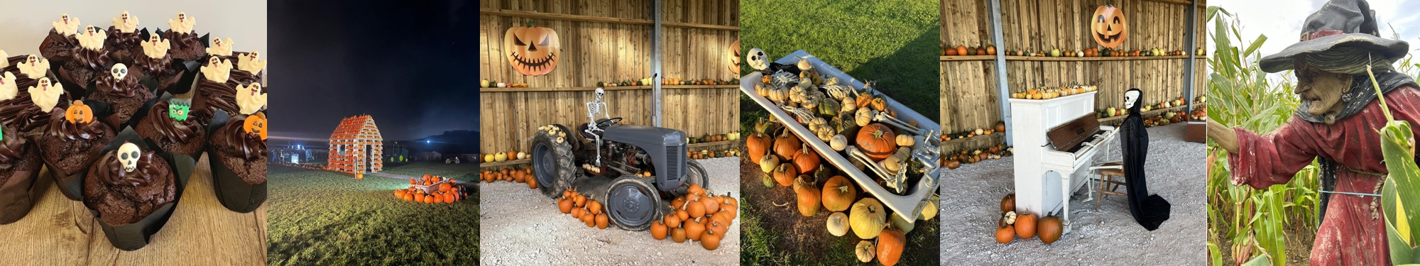 Image of Halloween at the Maize Maze